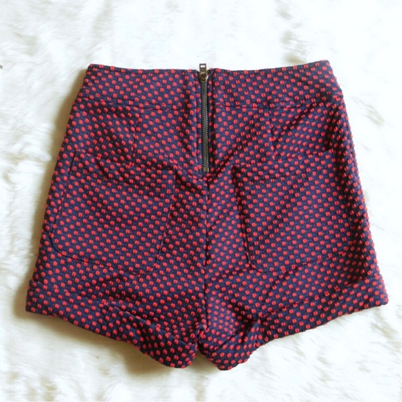 Anthropologie 🌵 Polka Dot High Waist Pinup Shorts - Picture 4 of 8
